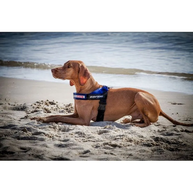 EzyDog Express Harness - Hundegeschirr | Hardloop