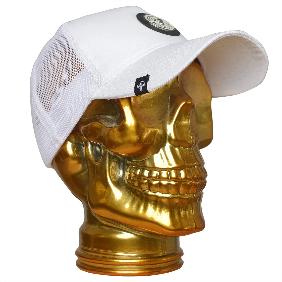 http://cdn.shopify.com/s/files/1/0679/1190/9696/products/cap-001unisexcaprobertowhitefront212001.jpg?v=1734042387&width=1024